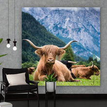 Lade das Bild in den Galerie-Viewer, Aluminiumbild gebürstet Hochlandrinder Herde Quadrat