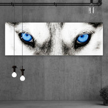 Lade das Bild in den Galerie-Viewer, Spannrahmenbild Husky mit blauen Augen Panorama