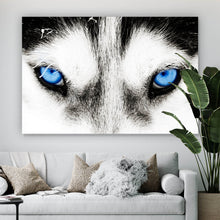 Lade das Bild in den Galerie-Viewer, Spannrahmenbild Husky mit blauen Augen Querformat