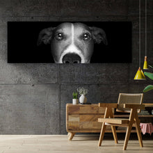 Lade das Bild in den Galerie-Viewer, Leinwandbild Jack Russell Schwarz-Weiss Panorama