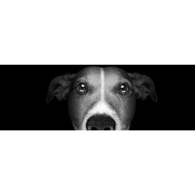 Lade das Bild in den Galerie-Viewer, Leinwandbild Jack Russell Schwarz-Weiss Panorama