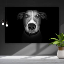 Lade das Bild in den Galerie-Viewer, Spannrahmenbild Jack Russell Schwarz-Weiss Querformat