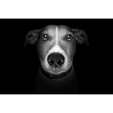 Lade das Bild in den Galerie-Viewer, Leinwandbild Jack Russell Schwarz-Weiss Querformat