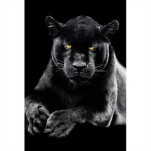 Lade das Bild in den Galerie-Viewer, Poster Jaguar auf schwarzem Hintergrund Hochformat