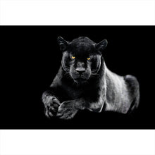 Lade das Bild in den Galerie-Viewer, Aluminiumbild Jaguar auf schwarzem Hintergrund Querformat