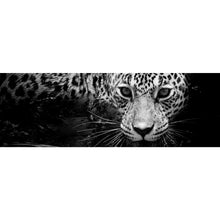 Lade das Bild in den Galerie-Viewer, Poster Leopard Schwarz Weiß Panorama