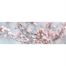 Lade das Bild in den Galerie-Viewer, Spannrahmenbild Japanische Kirschblüten Panorama