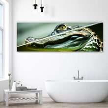 Lade das Bild in den Galerie-Viewer, Aluminiumbild Junger Kaiman im Wasser Panorama