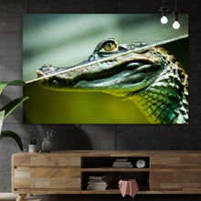 Lade das Bild in den Galerie-Viewer, Leinwandbild Junger Kaiman im Wasser Querformat