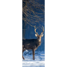 Lade das Bild in den Galerie-Viewer, Aluminiumbild Junger Rothirsch im Winterwald Panorama Hoch