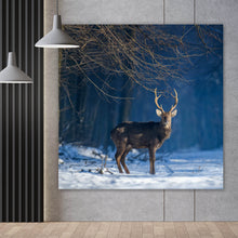 Lade das Bild in den Galerie-Viewer, Aluminiumbild gebürstet Junger Rothirsch im Winterwald Quadrat