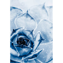 Lade das Bild in den Galerie-Viewer, Aluminiumbild Kaktus Sukkulente Blau Hochformat