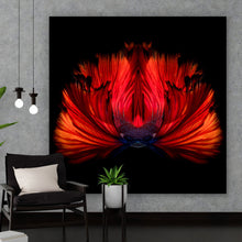 Lade das Bild in den Galerie-Viewer, Leinwandbild Kampffisch Quadrat