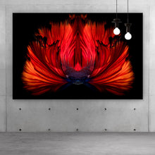 Lade das Bild in den Galerie-Viewer, Leinwandbild Kampffisch Querformat