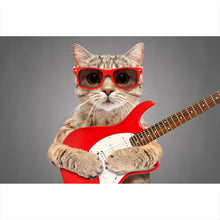 Lade das Bild in den Galerie-Viewer, Acrylglasbild Katze mit Gitarre Querformat