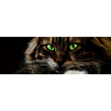 Lade das Bild in den Galerie-Viewer, Poster Katze mit grünen Augen Panorama