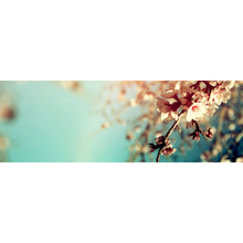 Lade das Bild in den Galerie-Viewer, Leinwandbild Kirschblüten Panorama