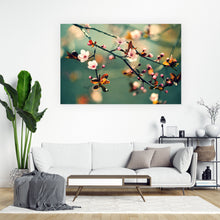 Lade das Bild in den Galerie-Viewer, Poster Kirschblüten am Ast Querformat