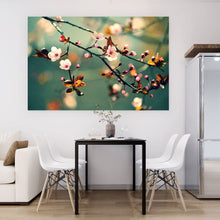 Lade das Bild in den Galerie-Viewer, Poster Kirschblüten am Ast Querformat