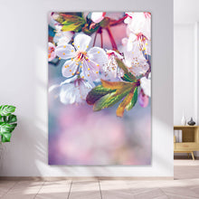 Lade das Bild in den Galerie-Viewer, Poster Kirschblüten im Frühling Hochformat