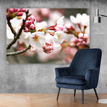 Lade das Bild in den Galerie-Viewer, Acrylglasbild Kirschblüten im Frühling No.1 Querformat
