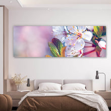 Lade das Bild in den Galerie-Viewer, Acrylglasbild Kirschblüten im Frühling Panorama
