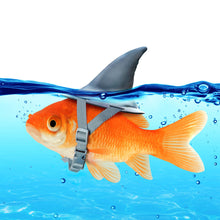 Lade das Bild in den Galerie-Viewer, Leinwandbild Kleiner Goldfisch mit Haiflosse Quadrat