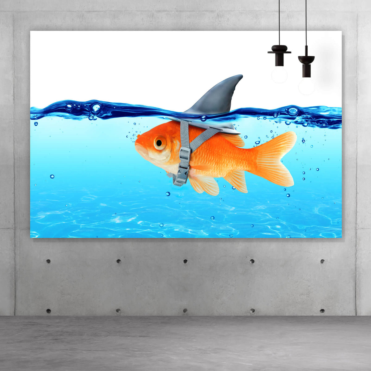 Aluminiumbild Kleiner Goldfisch mit Haiflosse im Querformat, Aufhängefertig  & Versandkostenfrei – Wandguru