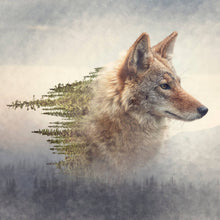 Lade das Bild in den Galerie-Viewer, Leinwandbild Kojote und Kiefernwald Quadrat