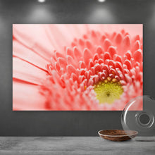 Lade das Bild in den Galerie-Viewer, Aluminiumbild gebürstet Lachsfarbene Blüte Querformat