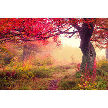 Lade das Bild in den Galerie-Viewer, Poster Landschaft im Herbst Querformat