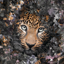 Lade das Bild in den Galerie-Viewer, Leinwandbild Leopard im Blütenwald Quadrat