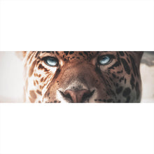 Lade das Bild in den Galerie-Viewer, Leinwandbild Leopard unter Wasser Panorama