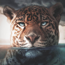 Lade das Bild in den Galerie-Viewer, Acrylglasbild Leopard unter Wasser Quadrat