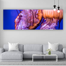 Lade das Bild in den Galerie-Viewer, Poster Leuchtende Quallen Panorama