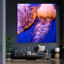 Lade das Bild in den Galerie-Viewer, Poster Leuchtende Quallen Quadrat