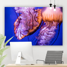 Lade das Bild in den Galerie-Viewer, Poster Leuchtende Quallen Querformat