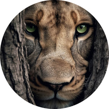 Lade das Bild in den Galerie-Viewer, Aluminiumbild gebürstet Löwe hinter einem Baum Kreis