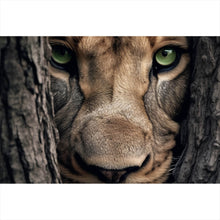 Lade das Bild in den Galerie-Viewer, Poster Löwe hinter einem Baum Querformat