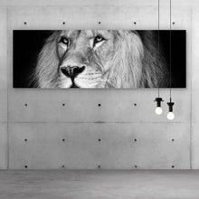 Lade das Bild in den Galerie-Viewer, Leinwandbild Löwen Portrait schwarz weiß Panorama