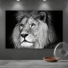 Lade das Bild in den Galerie-Viewer, Poster Löwen Portrait schwarz weiß Querformat