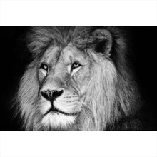 Lade das Bild in den Galerie-Viewer, Spannrahmenbild Löwen Portrait schwarz weiß Querformat