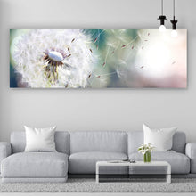 Lade das Bild in den Galerie-Viewer, Poster Löwenzahn Samen im Sonnenlicht Panorama