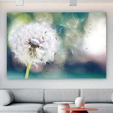 Lade das Bild in den Galerie-Viewer, Acrylglasbild Löwenzahn Samen im Sonnenlicht Querformat