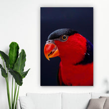 Lade das Bild in den Galerie-Viewer, Aluminiumbild Lory Papagei Hochformat