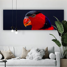 Lade das Bild in den Galerie-Viewer, Aluminiumbild Lory Papagei Panorama