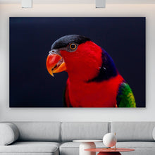 Lade das Bild in den Galerie-Viewer, Spannrahmenbild Lory Papagei Querformat