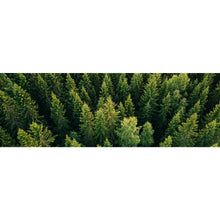 Lade das Bild in den Galerie-Viewer, Spannrahmenbild Luftaufnahme Wald in Finnland Panorama