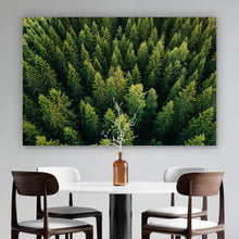 Lade das Bild in den Galerie-Viewer, Aluminiumbild gebürstet Luftaufnahme Wald in Finnland Querformat