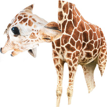 Lade das Bild in den Galerie-Viewer, Aluminiumbild Lustige Giraffe Kreis